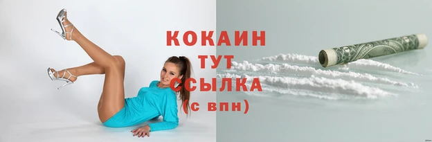 мяу мяу мука Верхний Тагил