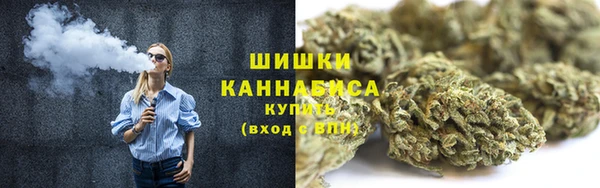 дживик Семилуки