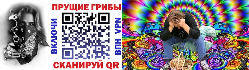 Галлюциногенные грибы Magic Shrooms  Камешково 